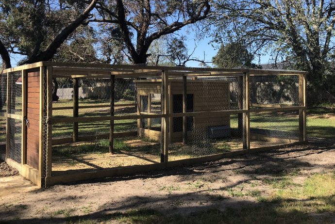 Chicken shed at Monterey Secondary College